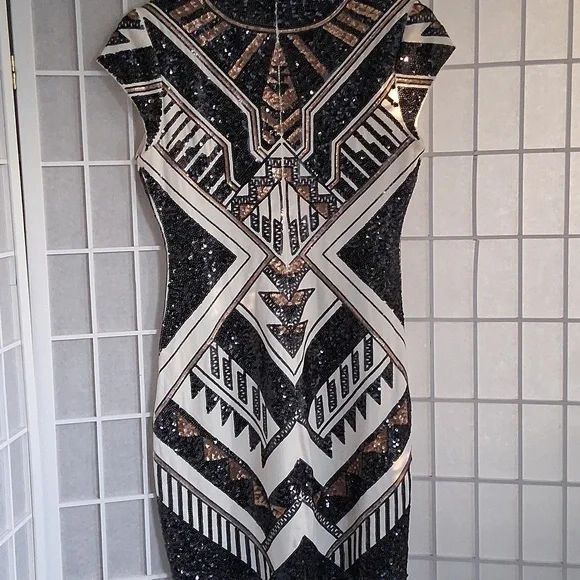 Expresss Sequined Dress